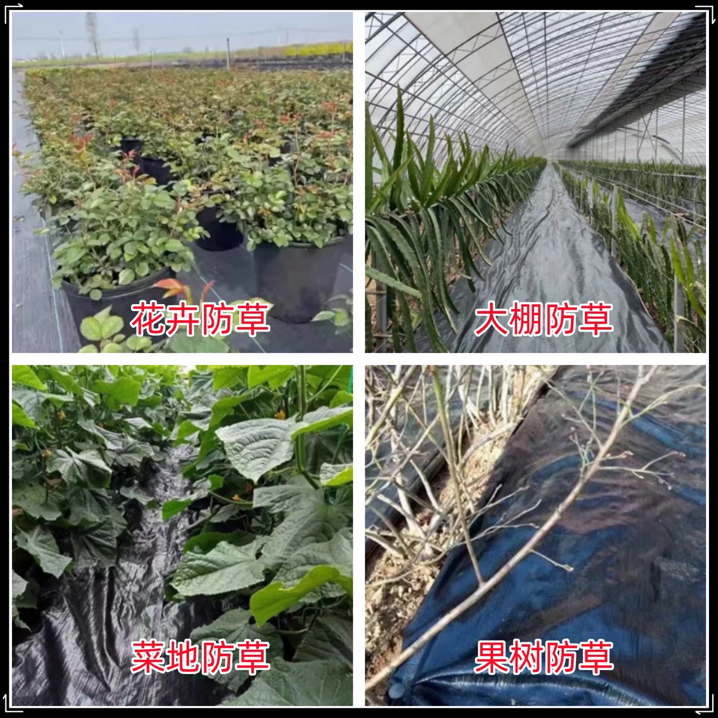 滁州市果树反光膜防草布 - 价格