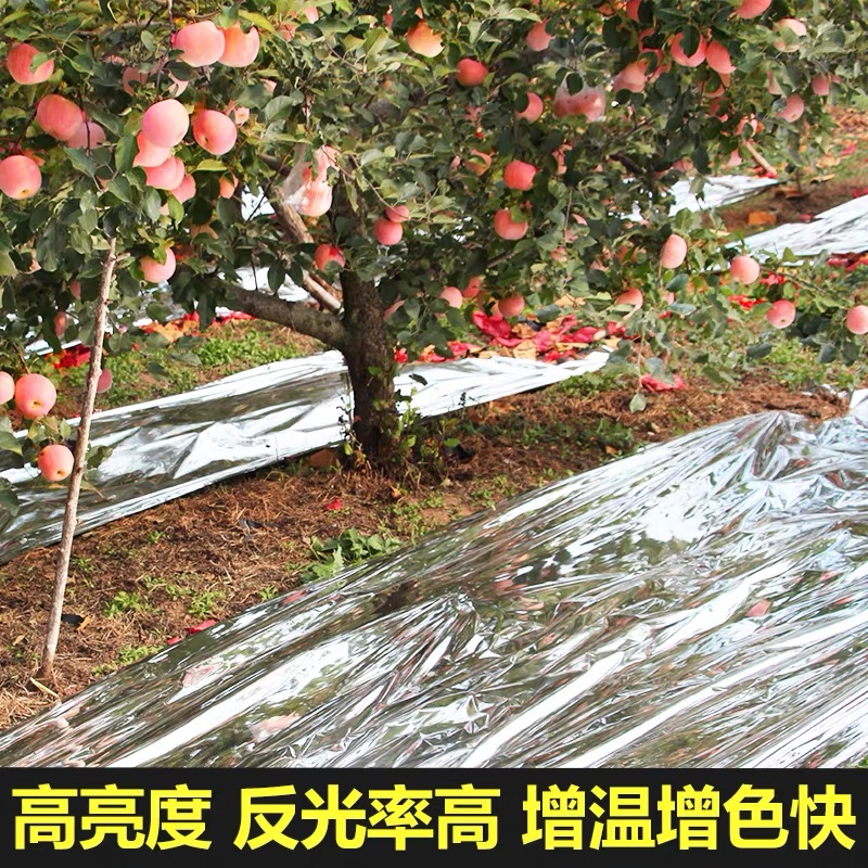 滁州市货车苫盖膜果树反光膜 - 推荐